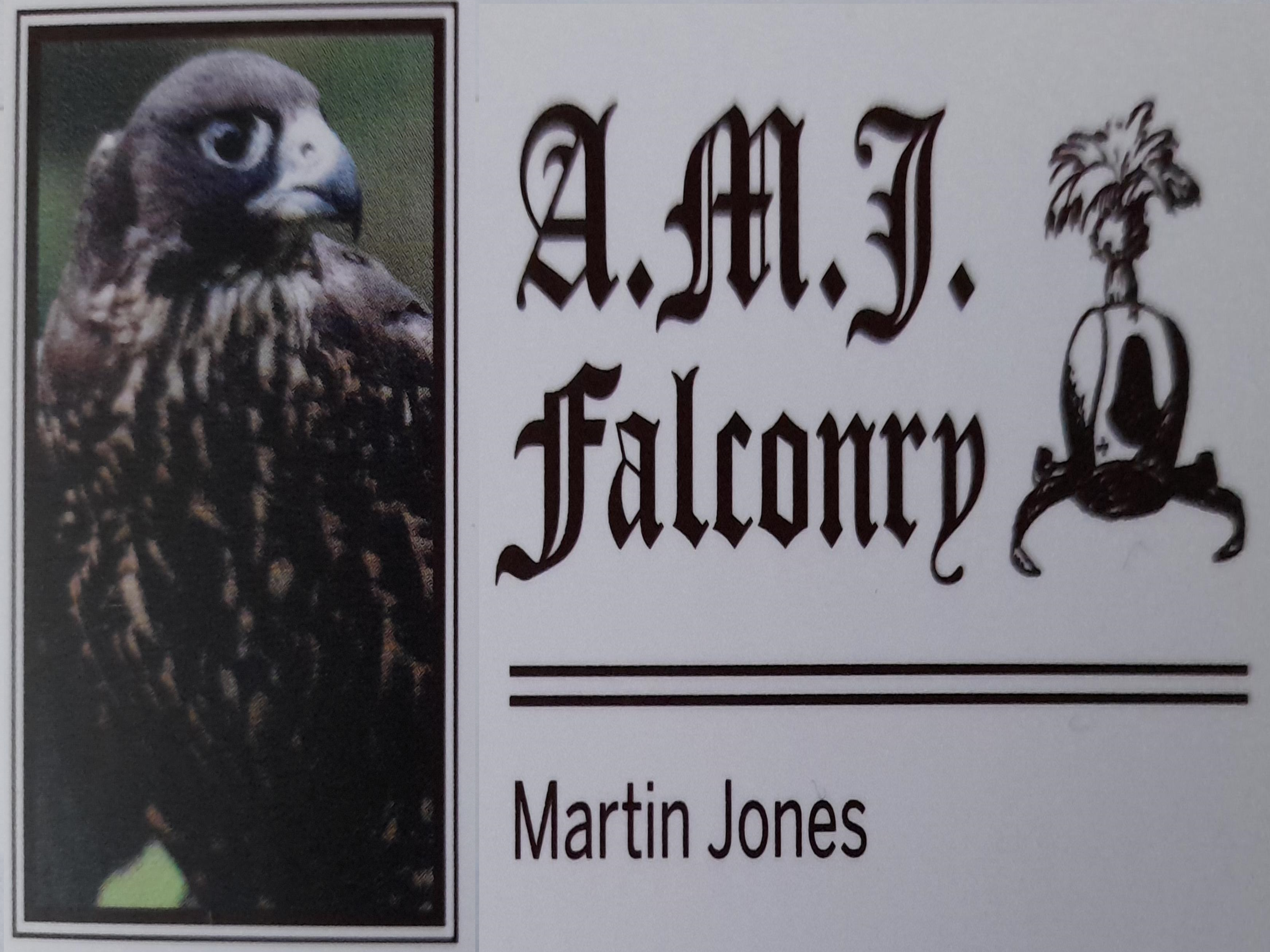 Falconry Online